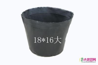 营养杯大18*16
