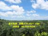 中东海枣